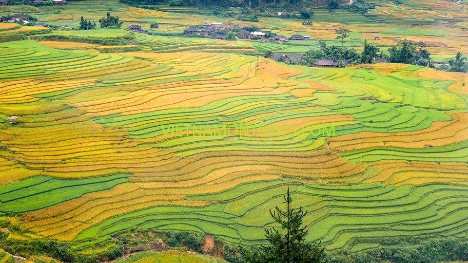 Self drive jeep tours Vietnam guided 4x4 tours vietnam