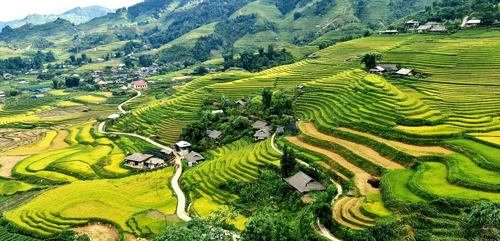 https://4wdtoursvietnam.com/wp-content/uploads/2017/09/local-village-in-north-vietnam.jpg